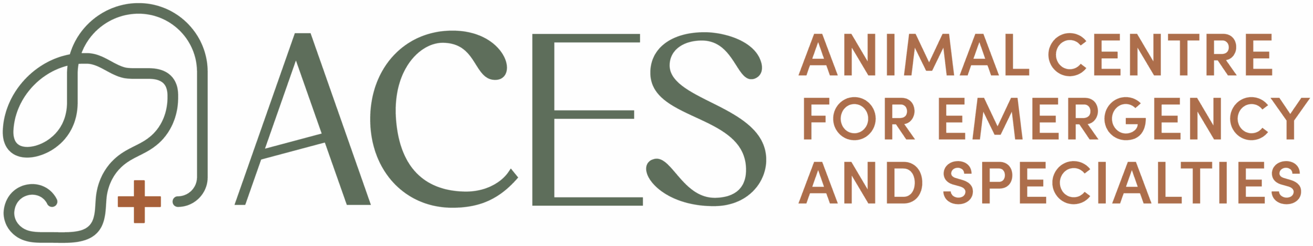 ACES Logo-Horizontal-Expanded-Primary-RGB